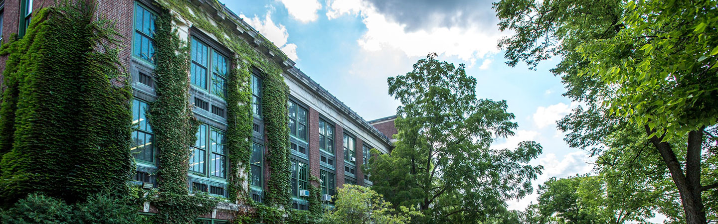 Brick building covered in ivy